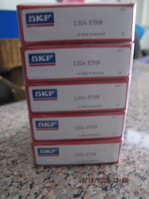 SKF Photo 151